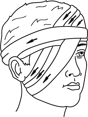 Иллюстрация к книге — Скорая помощь на дому [_8.jpg]