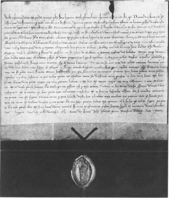 Иллюстрация к книге — Становление Европы. Экспансия, колонизация, изменения в сфере культуры. 950-1350 гг. [i_019.jpg]