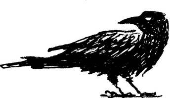 Иллюстрация к книге — Огонь и заклятие, или Восемь дней с Люком [i_001.jpg]