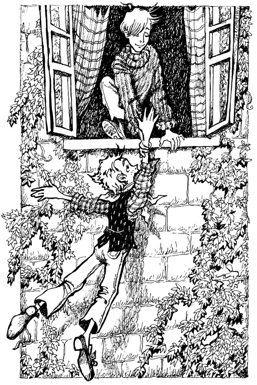 Иллюстрация к книге — Огонь и заклятие, или Восемь дней с Люком [i_013.jpg]