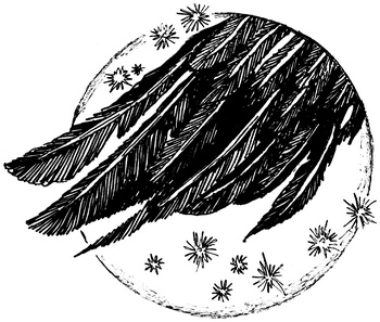 Иллюстрация к книге — Огонь и заклятие, или Восемь дней с Люком [i_014.jpg]