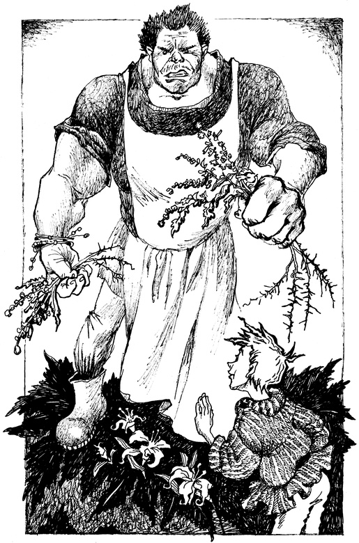 Иллюстрация к книге — Огонь и заклятие, или Восемь дней с Люком [i_019.jpg]