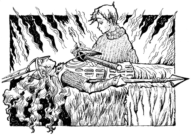 Иллюстрация к книге — Огонь и заклятие, или Восемь дней с Люком [i_042.jpg]