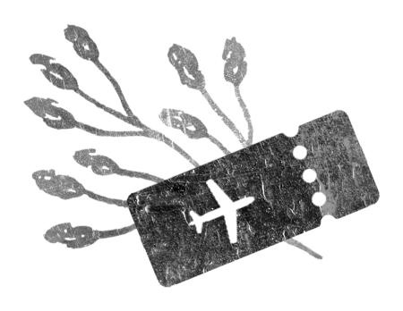 Иллюстрация к книге — Время желаний [i_002.jpg]