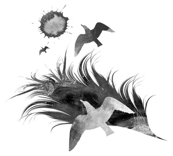 Иллюстрация к книге — Время желаний [i_007.jpg]