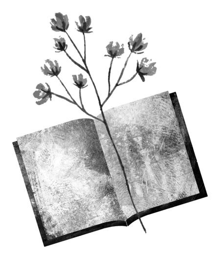 Иллюстрация к книге — Время желаний [i_011.jpg]