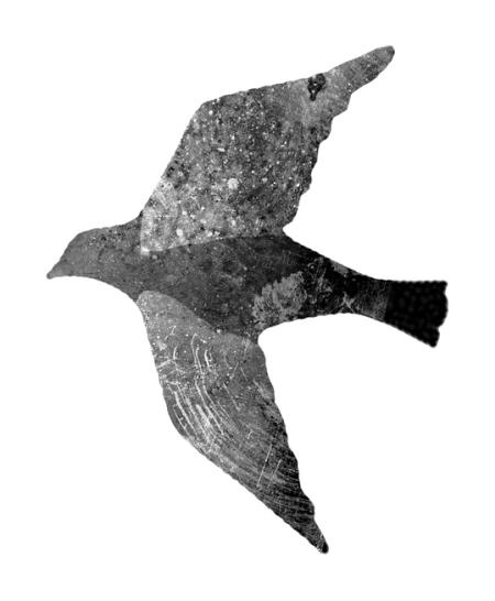 Иллюстрация к книге — Время желаний [i_021.jpg]