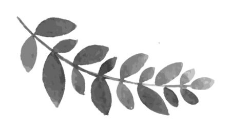 Иллюстрация к книге — Время желаний [i_027.jpg]