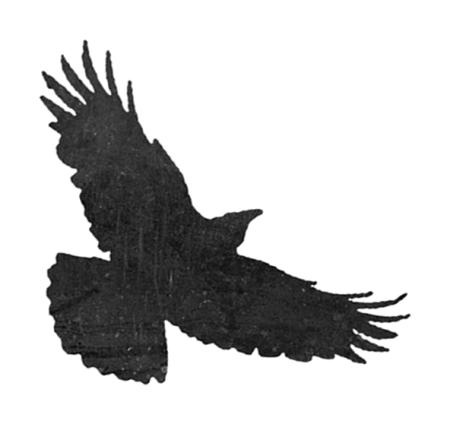 Иллюстрация к книге — Время желаний [i_039.jpg]