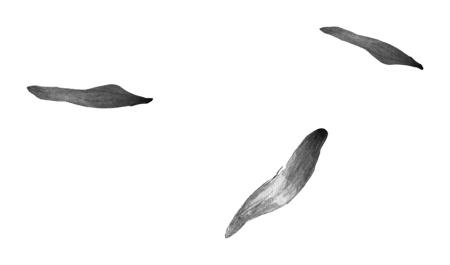 Иллюстрация к книге — Время желаний [i_045.jpg]