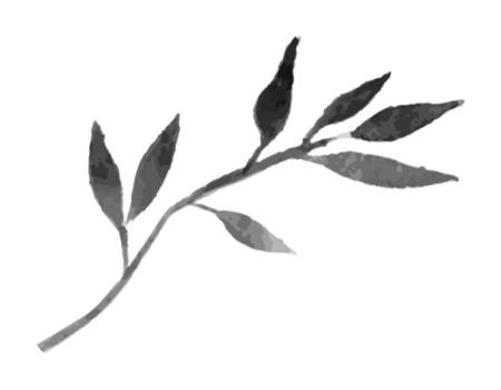 Иллюстрация к книге — Время желаний [i_050.jpg]