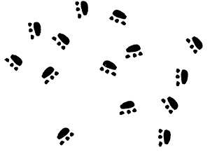 Иллюстрация к книге — Про Бабаку Косточкину-2 [i_004.jpg]