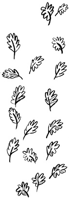 Иллюстрация к книге — Про Бабаку Косточкину-2 [i_022.jpg]