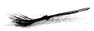 Иллюстрация к книге — Дети ворона [i_007.jpg]