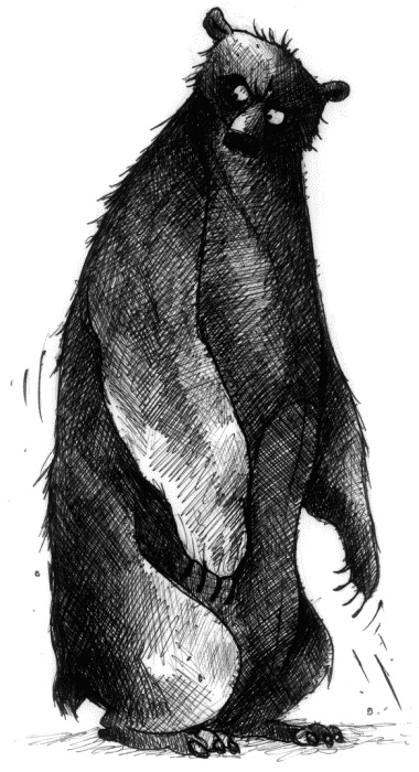 Иллюстрация к книге — Мальчик по имени Рождество [number03b.jpg]