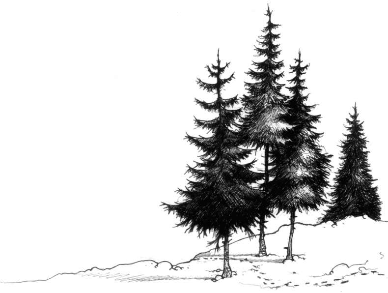 Иллюстрация к книге — Мальчик по имени Рождество [tree_g.jpg]