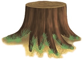 Иллюстрация к книге — Колдунья Варя летит на урагане! [i_010.jpg]