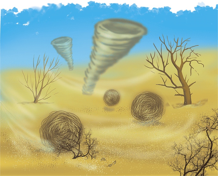 Иллюстрация к книге — Колдунья Варя летит на урагане! [i_016.jpg]