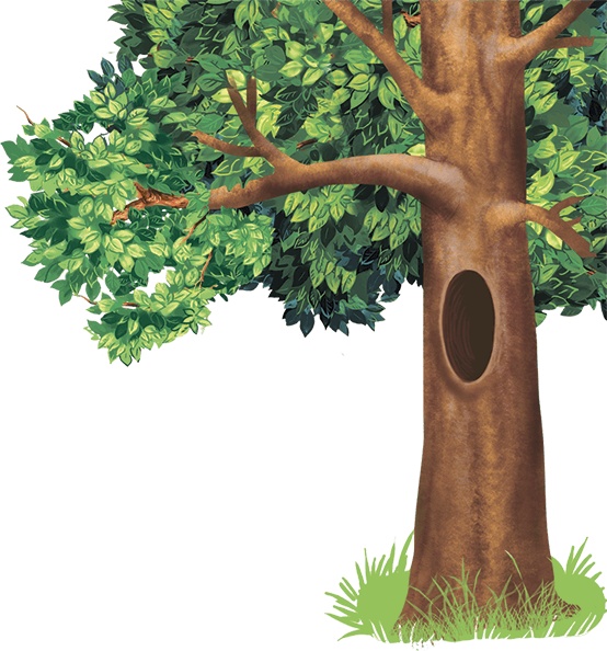 Иллюстрация к книге — Колдунья Варя летит на урагане! [i_023.jpg]