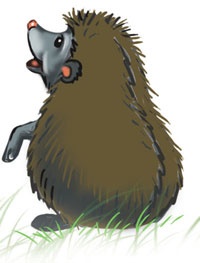 Иллюстрация к книге — Приключения колдуньи Вари, или Пенек с ушами [i_027.jpg]