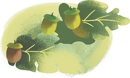 Иллюстрация к книге — Принцесса с болота, или 20 прикольных сказок [i_033.jpg]