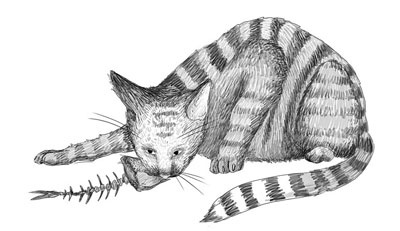 Иллюстрация к книге — Шифры и квесты: таинственные истории в логических загадках [i_032.jpg]