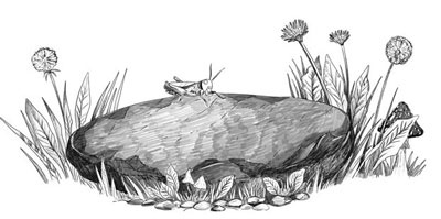 Иллюстрация к книге — Шифры и квесты: таинственные истории в логических загадках [i_037.jpg]