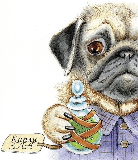 Иллюстрация к книге — Амулет Добра [i_019.jpg]