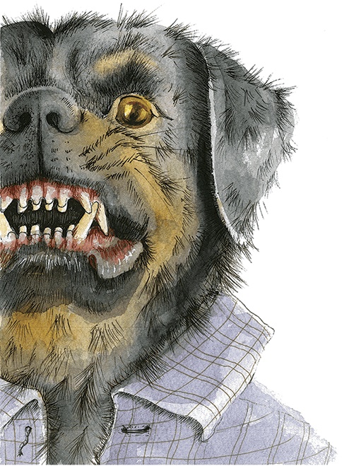 Иллюстрация к книге — Амулет Добра [i_020.jpg]