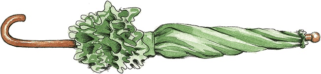 Иллюстрация к книге — Амулет Добра [i_028.jpg]