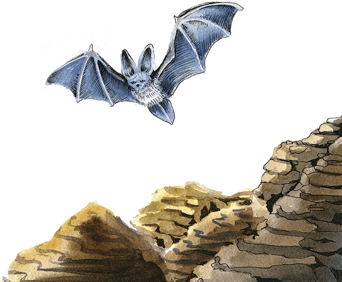 Иллюстрация к книге — Амулет Добра [i_041.jpg]