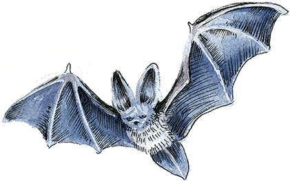 Иллюстрация к книге — Амулет Добра [i_042.jpg]