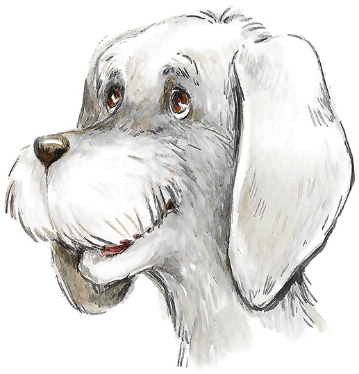 Иллюстрация к книге — Людмилка и Тим в сказочном саду [i_008.jpg]