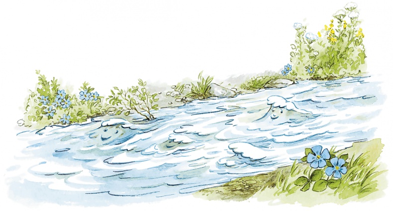 Иллюстрация к книге — Людмилка и Тим в сказочном саду [i_034.jpg]