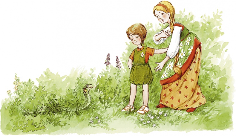 Иллюстрация к книге — Людмилка и Тим в сказочном саду [i_036.jpg]