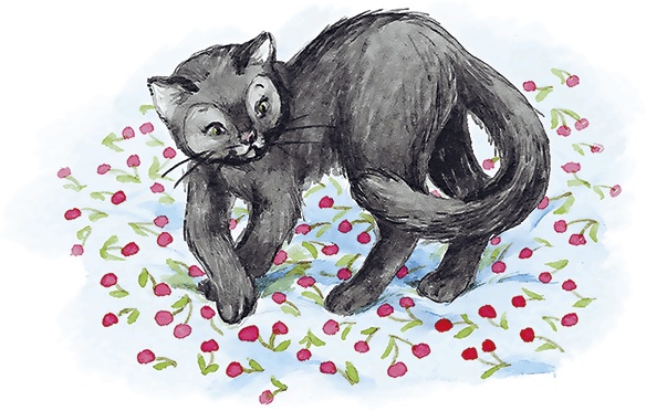 Иллюстрация к книге — Людмилка и Тим в сказочном саду [i_044.jpg]