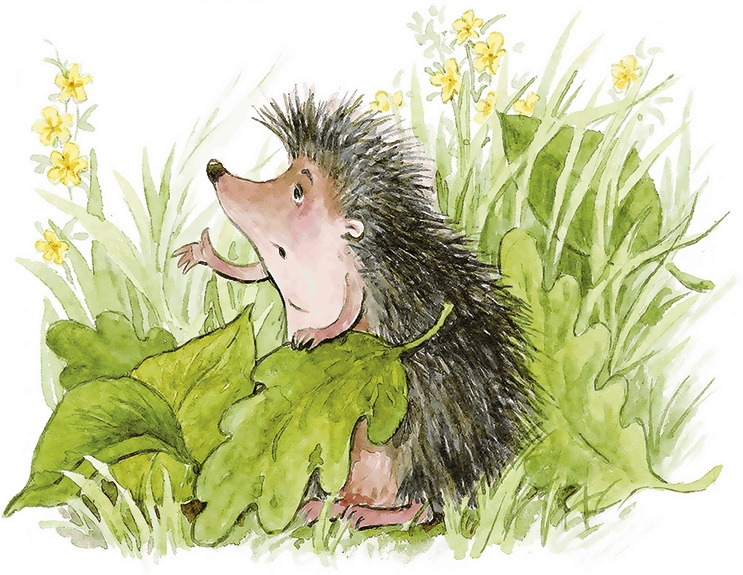 Иллюстрация к книге — Людмилка и Тим в сказочном саду [i_047.jpg]