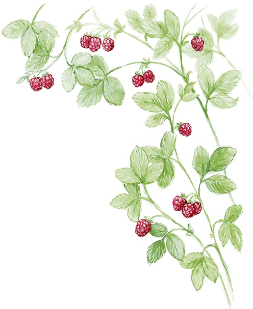 Иллюстрация к книге — Людмилка и Тим в сказочном саду [i_048.jpg]