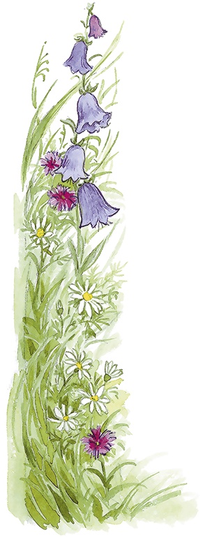 Иллюстрация к книге — Людмилка и Тим в сказочном саду [i_056.jpg]