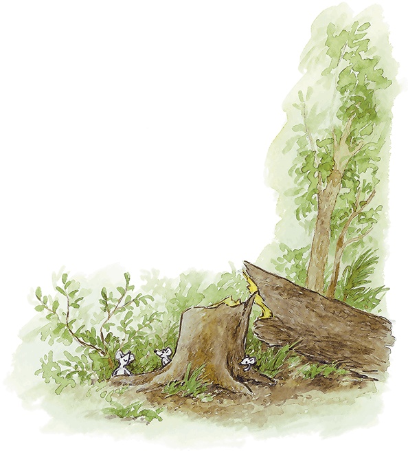 Иллюстрация к книге — Людмилка и Тим в сказочном саду [i_057.jpg]