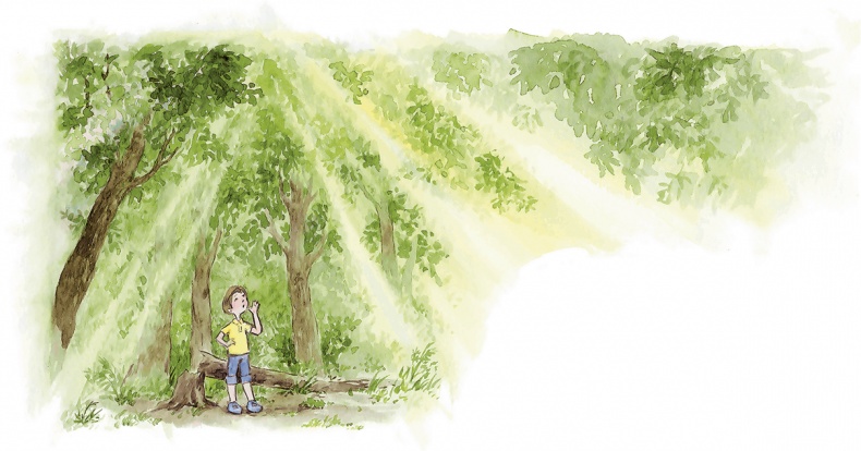 Иллюстрация к книге — Людмилка и Тим в сказочном саду [i_058.jpg]