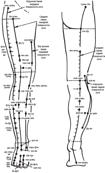 Иллюстрация к книге — Лечебные точки организма. Снимаем боли в суставах и мышцах, укрепляем кожу, вены, сон и иммунитет [_10.jpg]