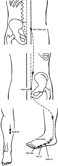 Иллюстрация к книге — Лечебные точки организма. Снимаем боли в суставах и мышцах, укрепляем кожу, вены, сон и иммунитет [_13.jpg]