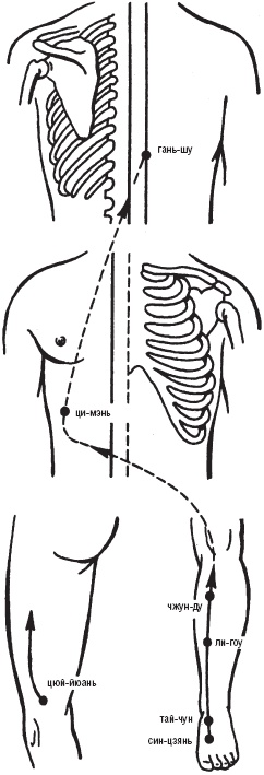 Иллюстрация к книге — Лечебные точки организма. Снимаем боли в суставах и мышцах, укрепляем кожу, вены, сон и иммунитет [_14.jpg]