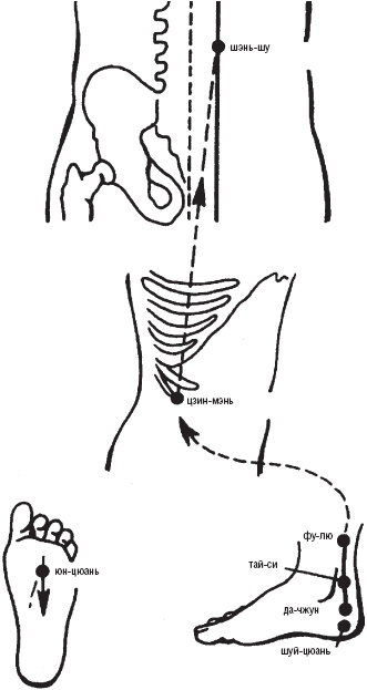 Иллюстрация к книге — Лечебные точки организма. Снимаем боли в суставах и мышцах, укрепляем кожу, вены, сон и иммунитет [_15.jpg]