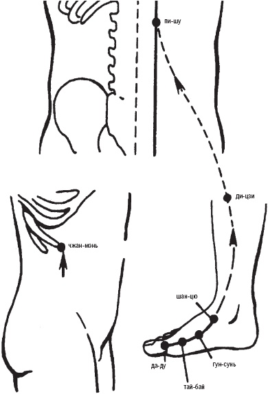 Иллюстрация к книге — Лечебные точки организма. Снимаем боли в суставах и мышцах, укрепляем кожу, вены, сон и иммунитет [_16.jpg]