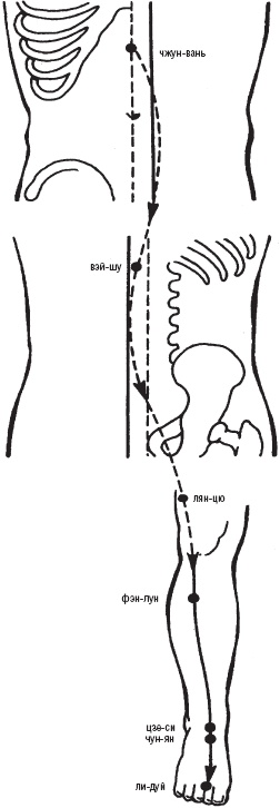 Иллюстрация к книге — Лечебные точки организма. Снимаем боли в суставах и мышцах, укрепляем кожу, вены, сон и иммунитет [_17.jpg]