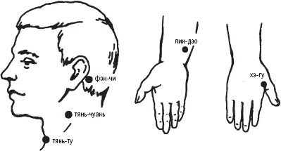 Иллюстрация к книге — Лечебные точки организма. Снимаем боли в суставах и мышцах, укрепляем кожу, вены, сон и иммунитет [_23.jpg]