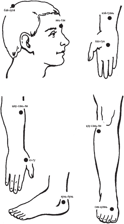 Иллюстрация к книге — Лечебные точки организма. Снимаем боли в суставах и мышцах, укрепляем кожу, вены, сон и иммунитет [_28.jpg]