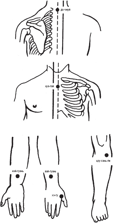 Иллюстрация к книге — Лечебные точки организма. Снимаем боли в суставах и мышцах, укрепляем кожу, вены, сон и иммунитет [_29.jpg]